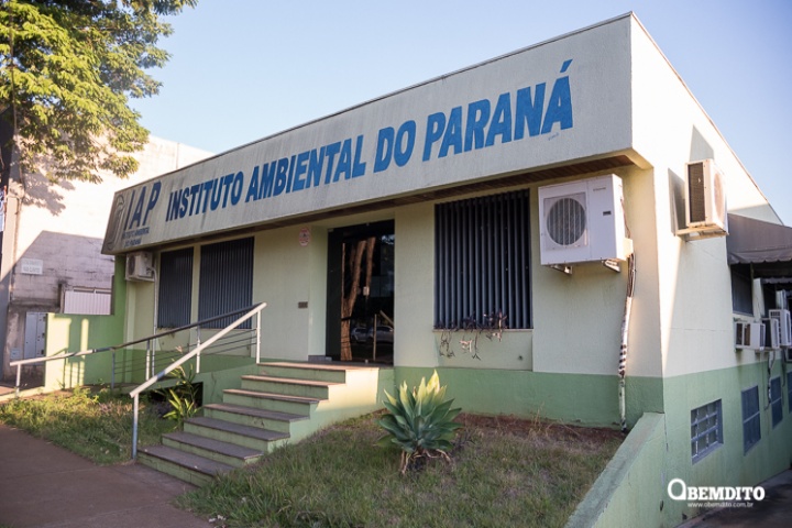 banner principal