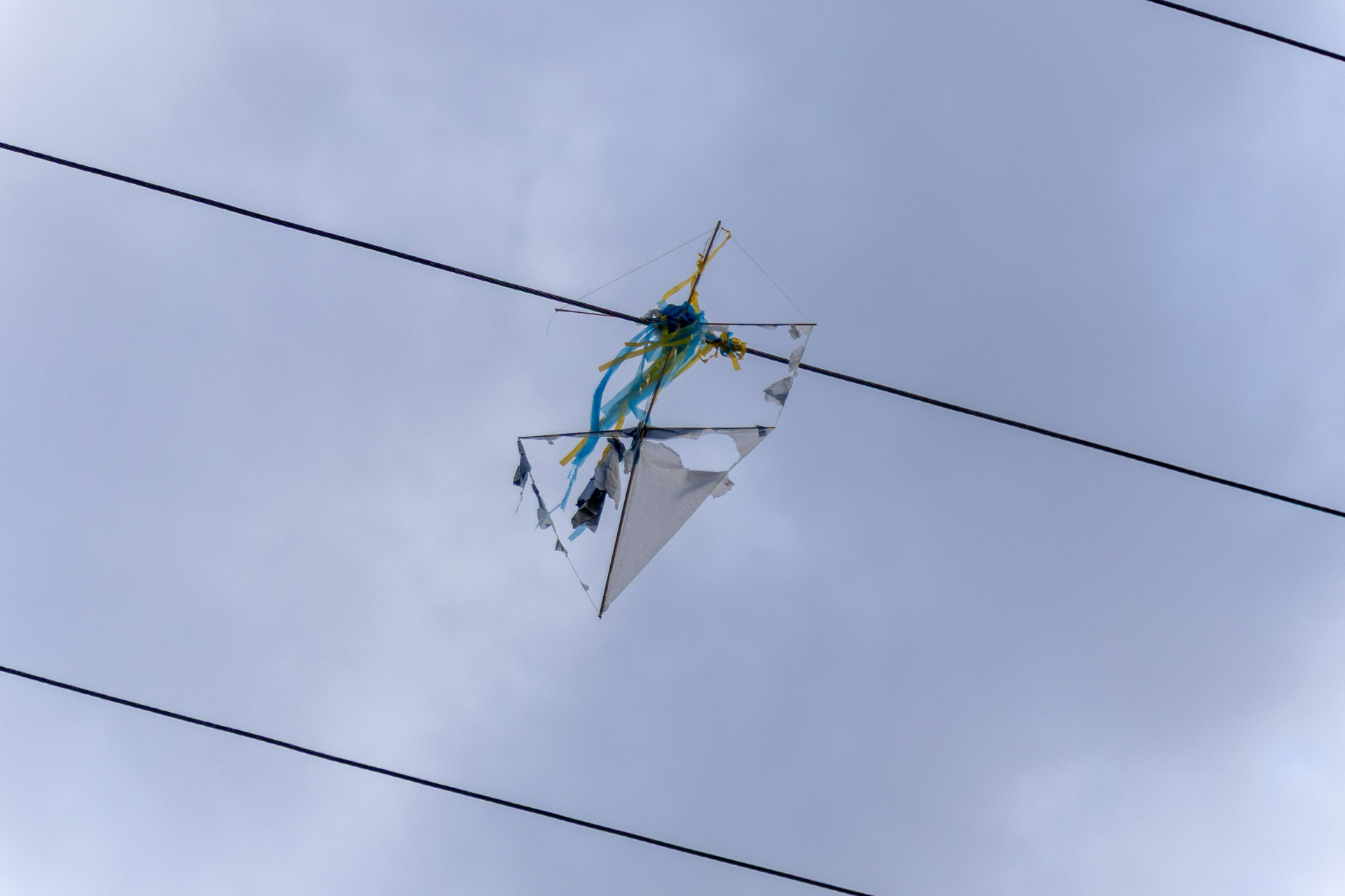 banner principal