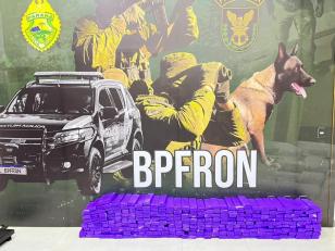 banner principal