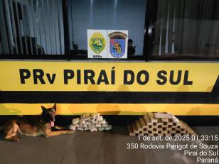 banner principal
