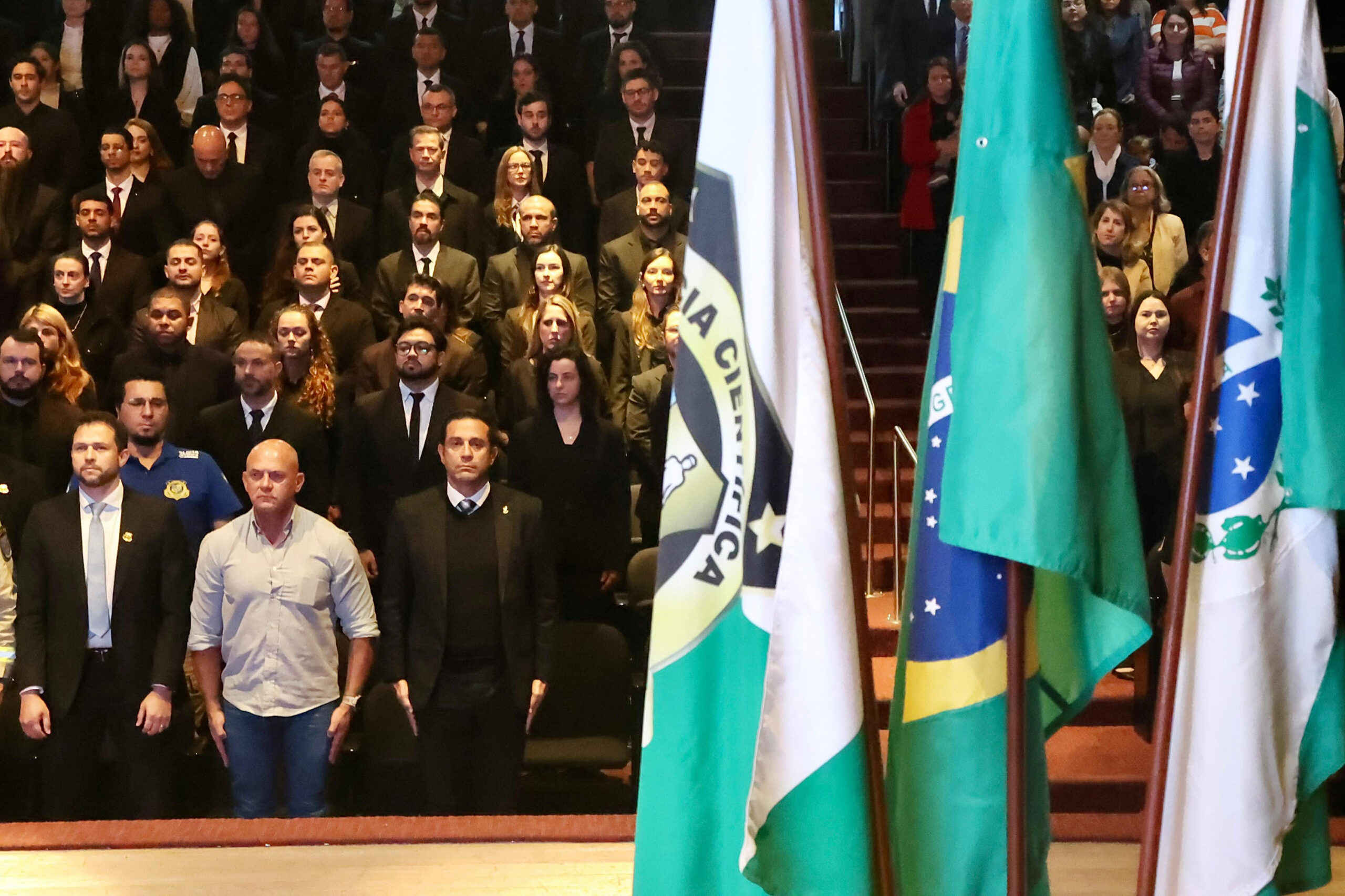 banner principal